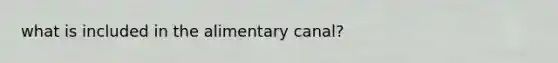 what is included in the alimentary canal?