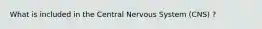 What is included in the Central Nervous System (CNS) ?