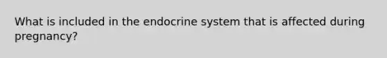 What is included in the endocrine system that is affected during pregnancy?