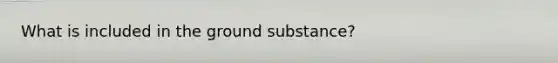 What is included in the ground substance?