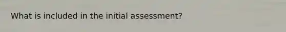 What is included in the initial assessment?