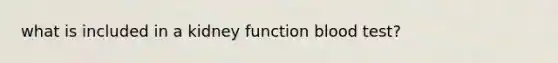 what is included in a kidney function blood test?