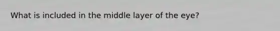 What is included in the middle layer of the eye?