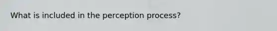 What is included in the perception process?