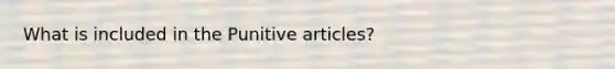 What is included in the Punitive articles?