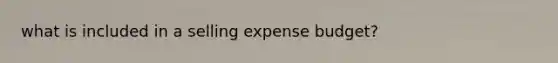 what is included in a selling expense budget?