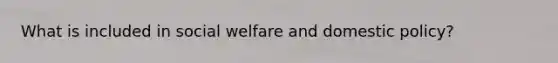 What is included in social welfare and domestic policy?