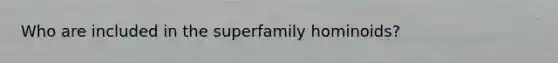 Who are included in the superfamily hominoids?