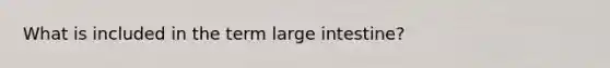 What is included in the term large intestine?