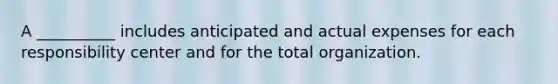 A __________ includes anticipated and actual expenses for each responsibility center and for the total organization.