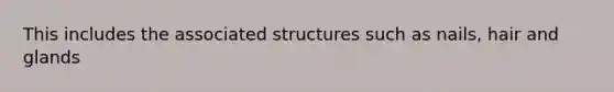 This includes the associated structures such as nails, hair and glands