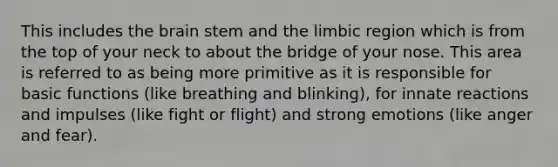 This includes the brain stem and the limbic region which is from the top of your neck to about the bridge of your nose. This area is referred to as being more primitive as it is responsible for basic functions (like breathing and blinking), for innate reactions and impulses (like fight or flight) and strong emotions (like anger and fear).