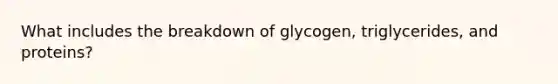 What includes the breakdown of glycogen, triglycerides, and proteins?