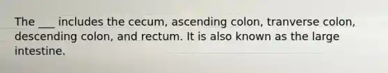 The ___ includes the cecum, ascending colon, tranverse colon, descending colon, and rectum. It is also known as the large intestine.