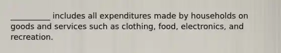 __________ includes all expenditures made by households on goods and services such as clothing, food, electronics, and recreation.