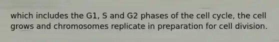 which includes the G1, S and G2 phases of the cell cycle, the cell grows and chromosomes replicate in preparation for cell division.