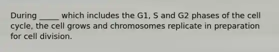 During _____ which includes the G1, S and G2 phases of the cell cycle, the cell grows and chromosomes replicate in preparation for cell division.