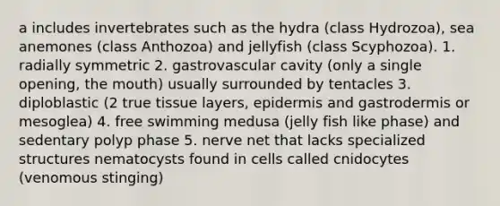 a includes invertebrates such as the hydra (class Hydrozoa), sea anemones (class Anthozoa) and jellyfish (class Scyphozoa). 1. radially symmetric 2. gastrovascular cavity (only a single opening, the mouth) usually surrounded by tentacles 3. diploblastic (2 true tissue layers, epidermis and gastrodermis or mesoglea) 4. free swimming medusa (jelly fish like phase) and sedentary polyp phase 5. nerve net that lacks specialized structures nematocysts found in cells called cnidocytes (venomous stinging)