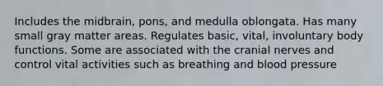 Includes the midbrain, pons, and medulla oblongata. Has many small gray matter areas. Regulates basic, vital, involuntary body functions. Some are associated with the cranial nerves and control vital activities such as breathing and blood pressure