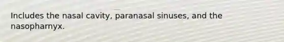 Includes the nasal cavity, paranasal sinuses, and the nasopharnyx.