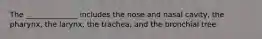 The ______________ includes the nose and nasal cavity, the pharynx, the larynx, the trachea, and the bronchial tree.