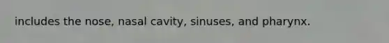 includes the nose, nasal cavity, sinuses, and pharynx.