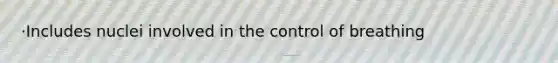 ·Includes nuclei involved in the control of breathing