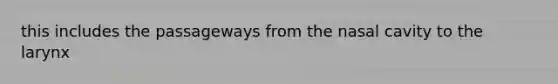 this includes the passageways from the nasal cavity to the larynx