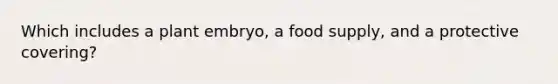 Which includes a plant embryo, a food supply, and a protective covering?