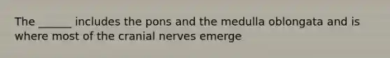 The ______ includes the pons and the medulla oblongata and is where most of the cranial nerves emerge
