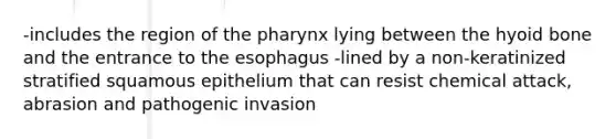 -includes the region of the pharynx lying between the hyoid bone and the entrance to the esophagus -lined by a non-keratinized stratified squamous epithelium that can resist chemical attack, abrasion and pathogenic invasion