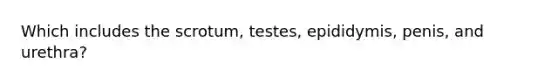 Which includes the scrotum, testes, epididymis, penis, and urethra?