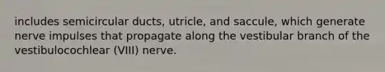 includes semicircular ducts, utricle, and saccule, which generate nerve impulses that propagate along the vestibular branch of the vestibulocochlear (VIII) nerve.