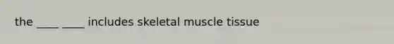 the ____ ____ includes skeletal muscle tissue