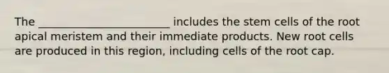 The ________________________ includes the stem cells of the root apical meristem and their immediate products. New root cells are produced in this region, including cells of the root cap.