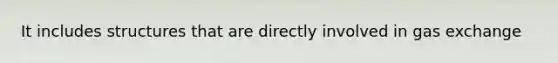 It includes structures that are directly involved in gas exchange