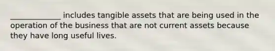 _____________ includes tangible assets that are being used in the operation of the business that are not current assets because they have long useful lives.