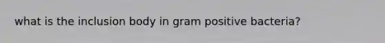 what is the inclusion body in gram positive bacteria?