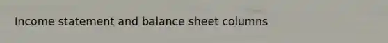 Income statement and balance sheet columns