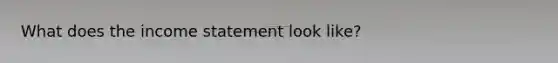 What does the income statement look like?