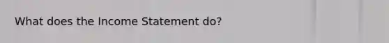 What does the Income Statement do?