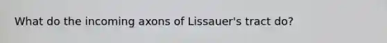 What do the incoming axons of Lissauer's tract do?