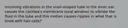 Incoming vibrations in the snail-shaped tube in the inner ear causes the cochlea's membrane (oval window) to vibrate the fluid in the tube and this motion causes ripples in what that is lined with hair cells?