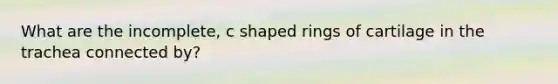 What are the incomplete, c shaped rings of cartilage in the trachea connected by?