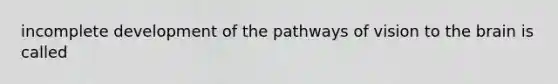 incomplete development of the pathways of vision to the brain is called