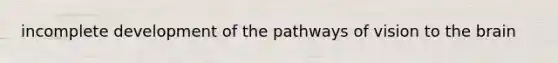 incomplete development of the pathways of vision to the brain