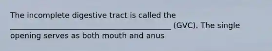 The incomplete digestive tract is called the __________________________________________ (GVC). The single opening serves as both mouth and anus