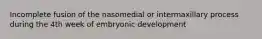 Incomplete fusion of the nasomedial or intermaxillary process during the 4th week of embryonic development