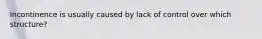 Incontinence is usually caused by lack of control over which structure?