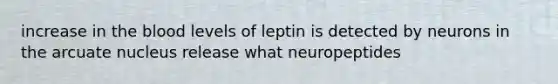 increase in the blood levels of leptin is detected by neurons in the arcuate nucleus release what neuropeptides